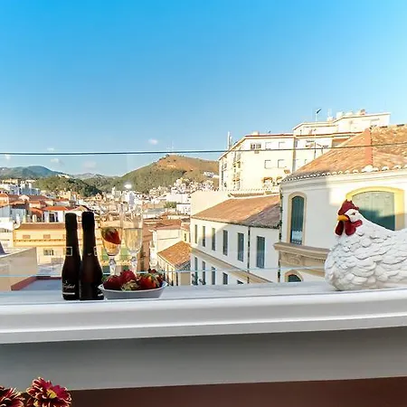 Picasso's Birthplace Views *