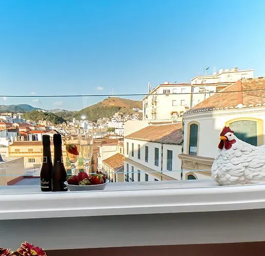 Picasso's Birthplace Views *